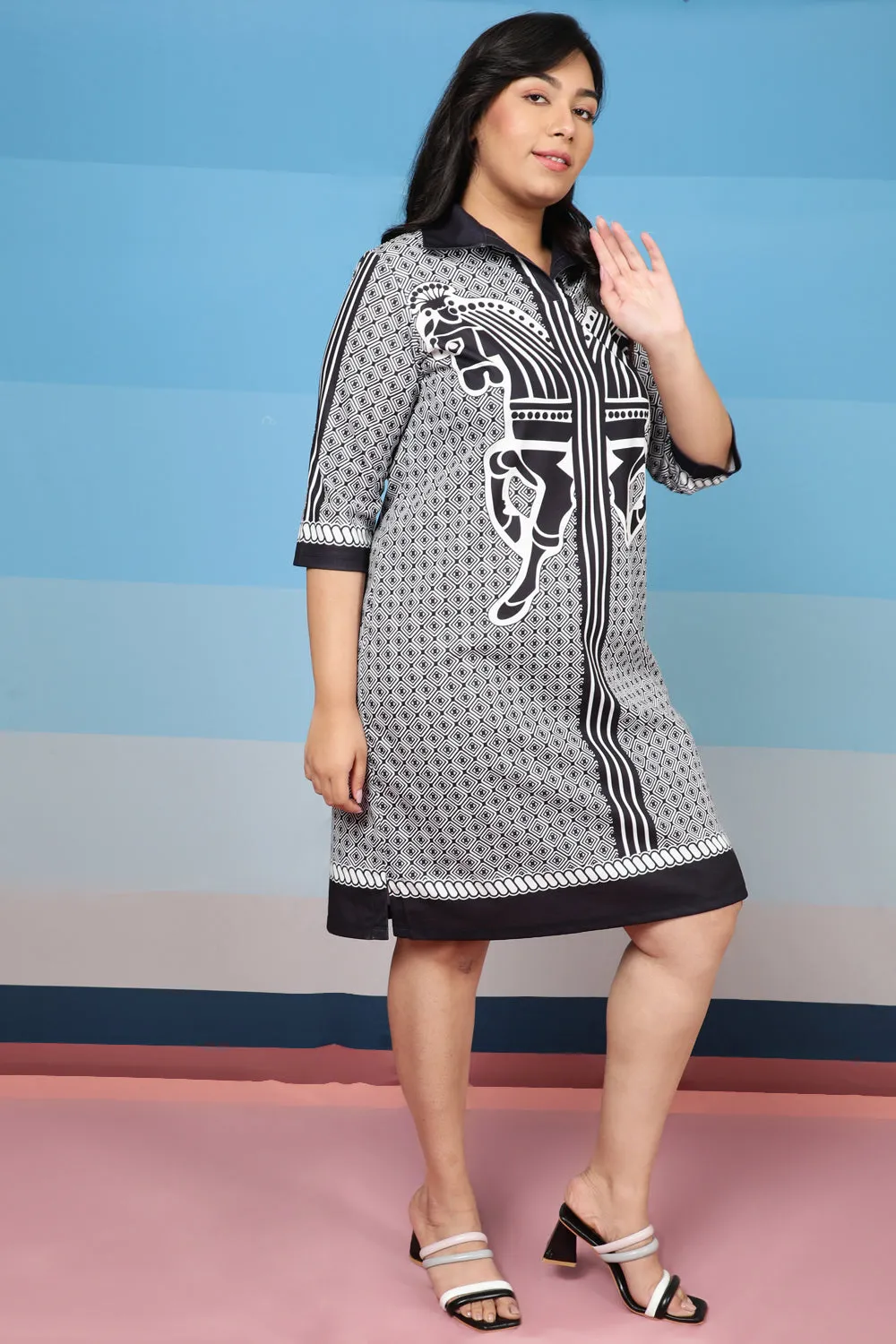 Black Stallion Shirt Dress