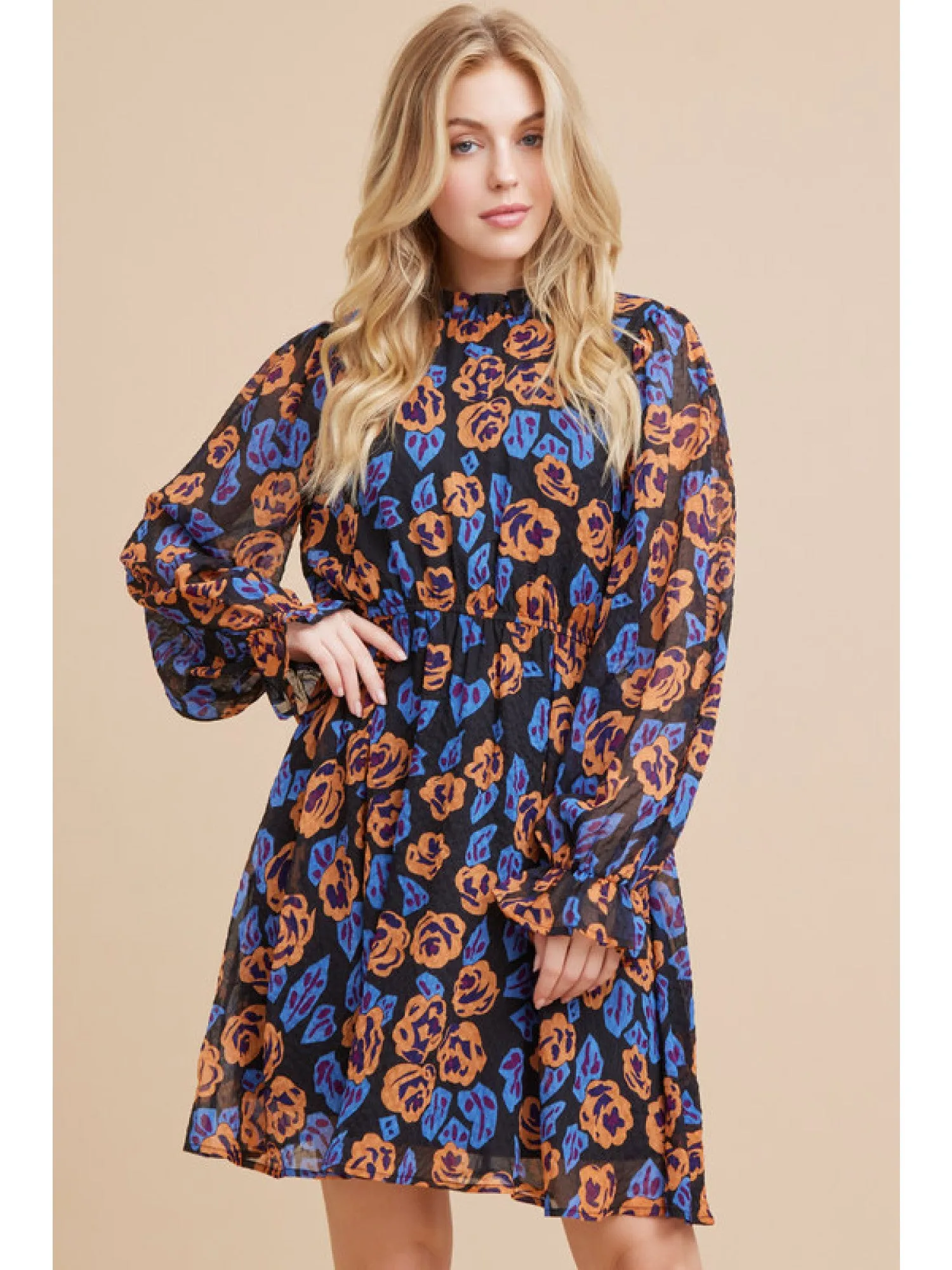 Poet Sleeve Dress